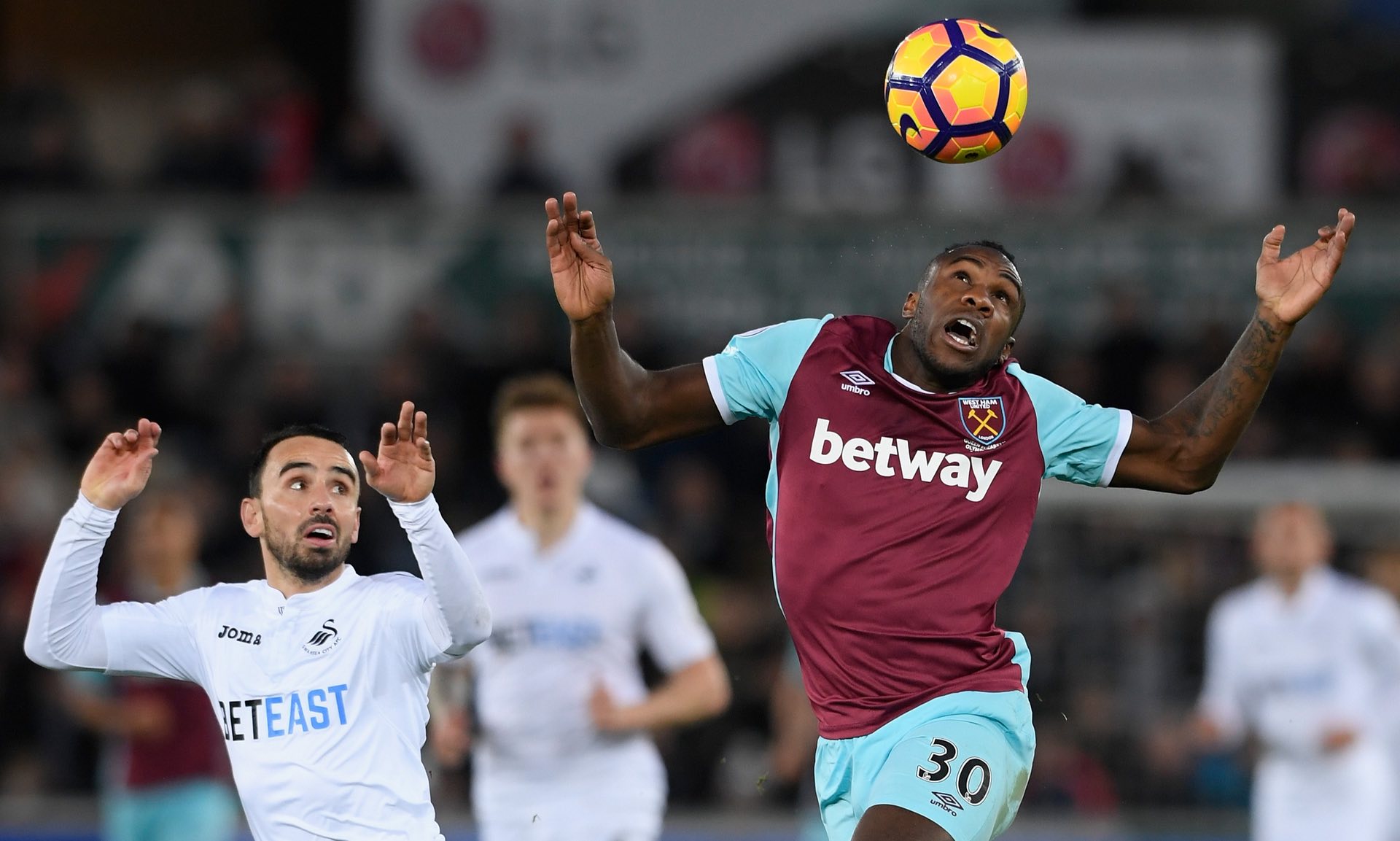 16賽季引 16賽季引